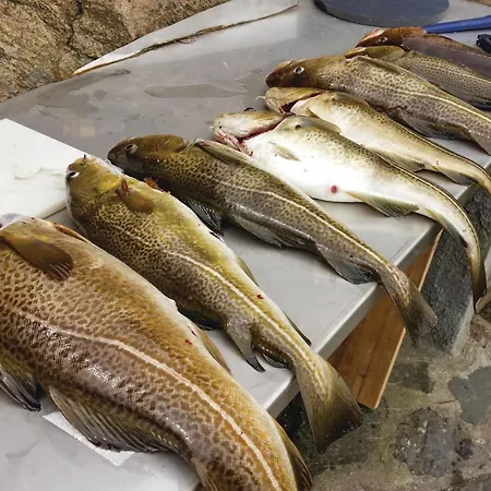 Skjernoysund Holiday home